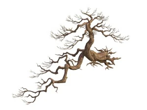 game model - taoist comprehension scene - pine 01 3D Model