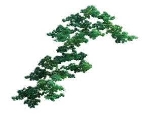 game model - taoist comprehension scene - pine 01 3D Model