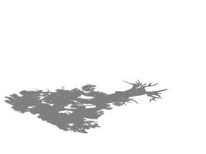 game model - taoist comprehension scene - pine 01 3D Model