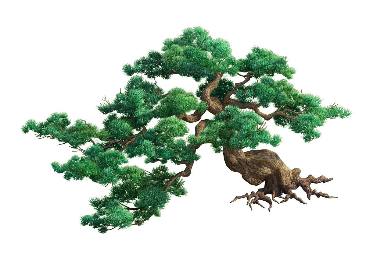 game model - taoist comprehension scene - pine 02 3D Model .c4d .max .obj .3ds .fbx .stl .blend 