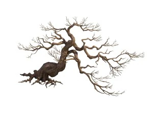 game model - taoist comprehension scene - pine 02 3D Model