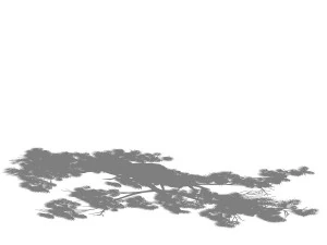 game model - taoist comprehension scene - pine 02 3D Model