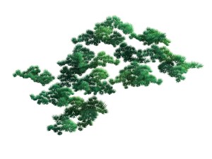 game model - taoist comprehension scene - pine 02 3D Модель