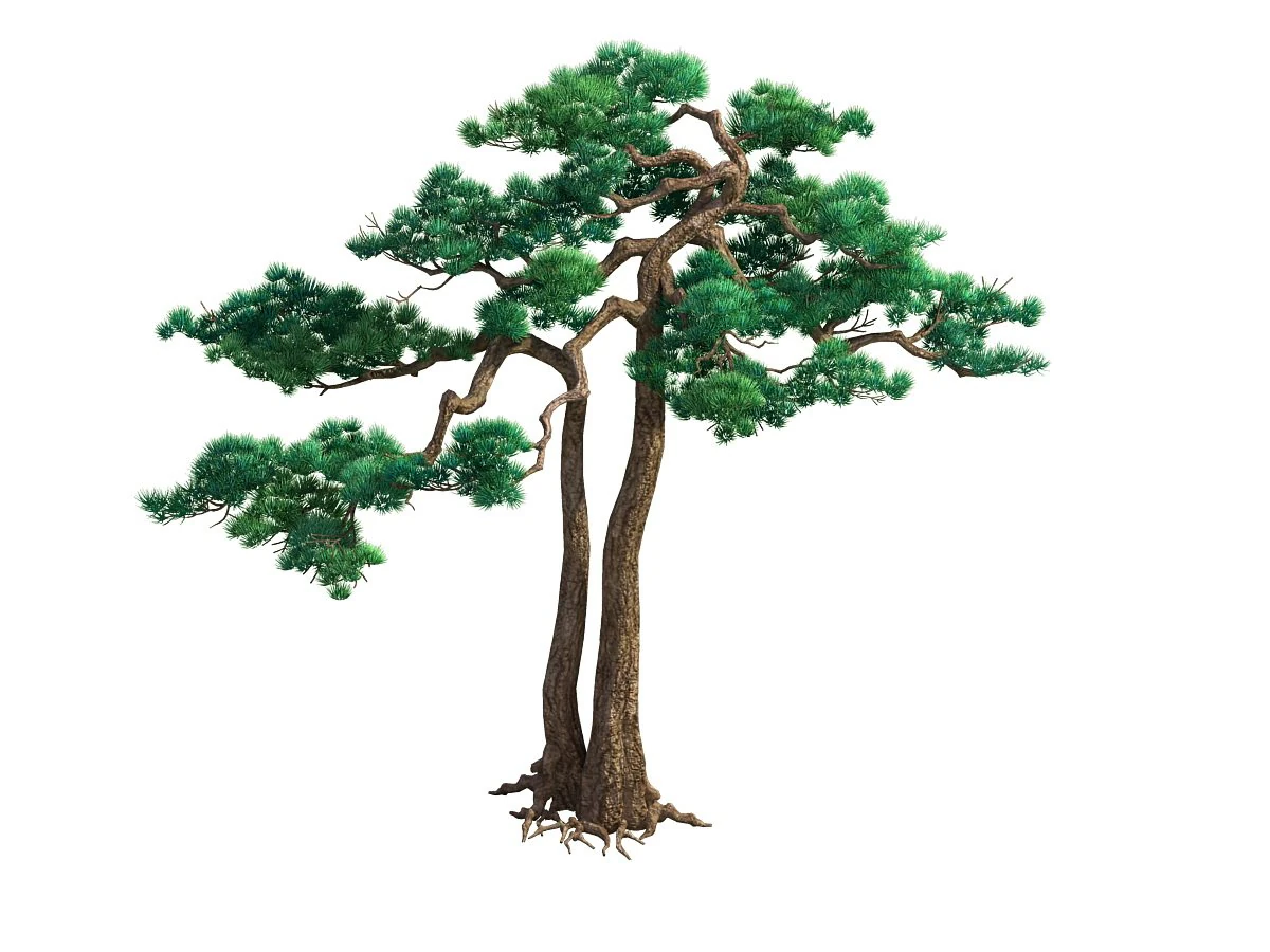 game model - taoist comprehension scene - pine 03 3D Model .c4d .max .obj .3ds .fbx .stl .blend 