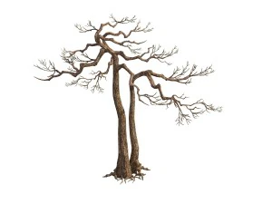 game model - taoist comprehension scene - pine 03 3D Model