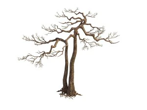 game model - taoist comprehension scene - pine 03 3D Model