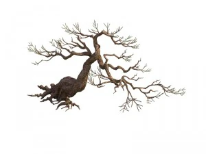 game model - taoist comprehension scene - pine 04 3D Model