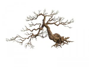 game model - taoist comprehension scene - pine 04 3D Model