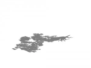 game model - taoist comprehension scene - pine 04 3D Model