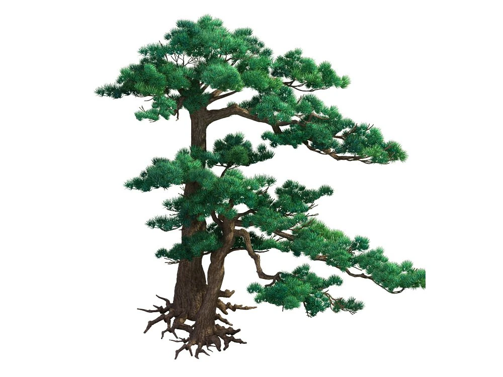 game model - taoist comprehension scene - pine 05 3D Model .c4d .max .obj .3ds .fbx .stl .blend 