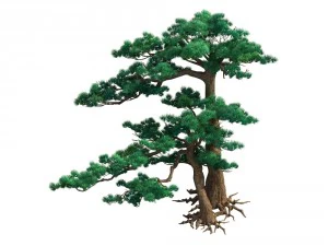 game model - taoist comprehension scene - pine 05 3D Model
