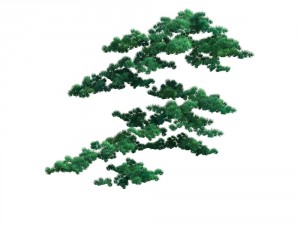 game model - taoist comprehension scene - pine 05 3D 모델