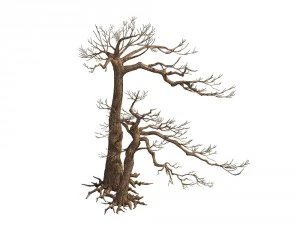 game model - taoist comprehension scene - pine 05 3D Model