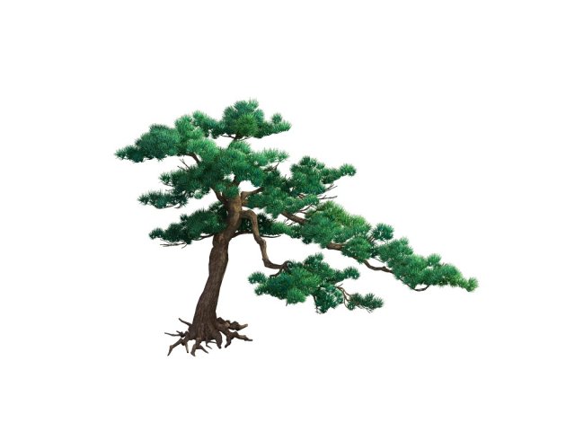 game model - taoist comprehension scene - pine 06 3D 모델 .c4d .max .obj .3ds .fbx .stl .blend 