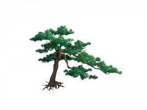 game model - taoist comprehension scene - pine 06 3D Модель