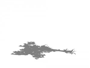 game model - taoist comprehension scene - pine 06 3D Model