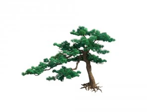game model - taoist comprehension scene - pine 06 3D Model
