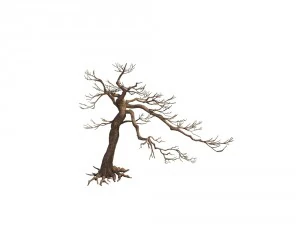 game model - taoist comprehension scene - pine 06 3D Model