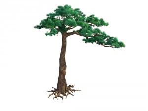 game model - taoist comprehension scene - pine 07 3D Model