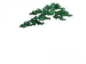 game model - taoist comprehension scene - pine 07 3D Model