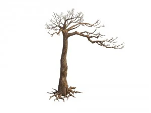 game model - taoist comprehension scene - pine 07 3D Model