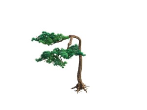 game model - taoist comprehension scene - pine 09 3D Model