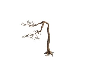 game model - taoist comprehension scene - pine 09 Modelo 3D