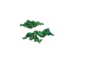 game model - taoist comprehension scene - pine 09 Modelo 3D