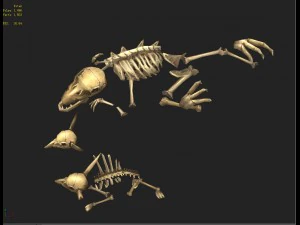 game model arena - bone remains of animals 01 3D Model