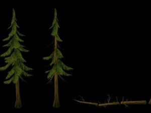 game model arena - bucolic - conifer 01 01 3D Model