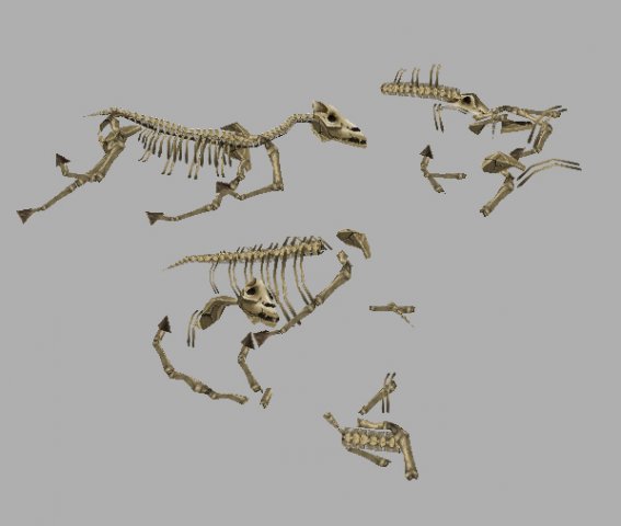 game model arena - horse bones 01 Model 3D .c4d .max .obj .3ds .fbx .stl .blend 