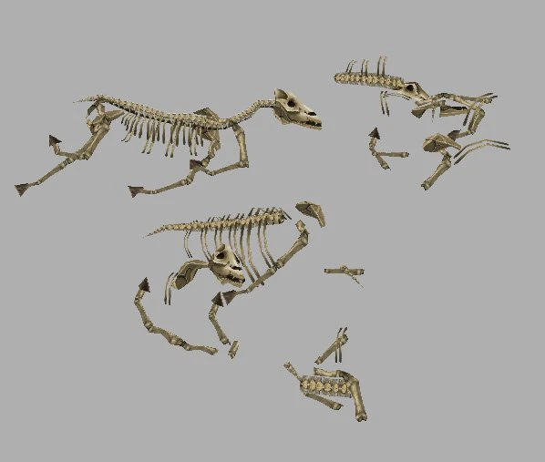 game model arena - horse bones 01 3D Model .c4d .max .obj .3ds .fbx .stl .blend