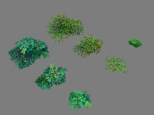 game model arena - ivy 01 3D Model