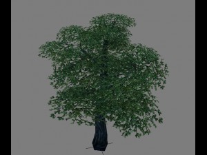 game model arena - variation grass flowers trees 0 3D Model
