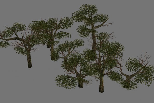 game model arena - variation grass flowers trees 0 3D Model .c4d .max .obj .3ds .fbx .stl .blend 