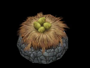 arena modelo de jogo - área pantanosa - as ovas de peixe em Modelo 3D