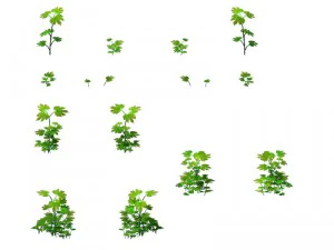 game model - grass 02 3D Model