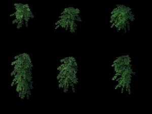 game model - grass 03 Modèle 3D