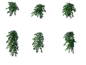 game model - grass 03 Modèle 3D