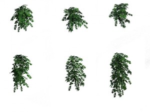 game model - grass 03 Modèle 3D