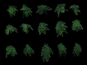 game model - grass 03 Modèle 3D