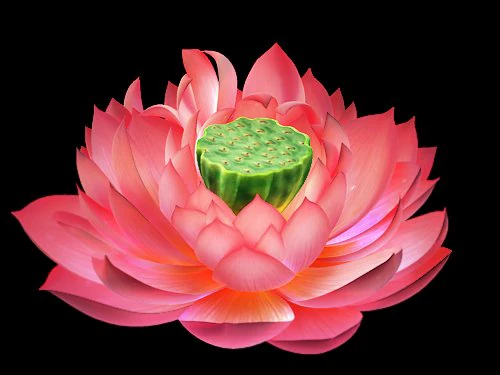game model - lotus 3D Model .c4d .max .obj .3ds .fbx .stl .blend 