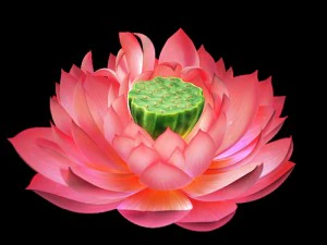 game model - lotus 3D Model