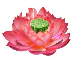 game model - lotus 3D-Modell