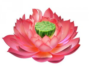 game model - lotus 3D Model