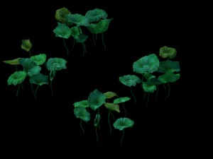 game model - lotus road 3D Model