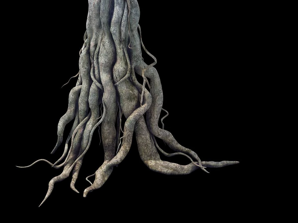 game model - kashayana buddha forest big tree root 3D Model .c4d .max .obj .3ds .fbx .stl .blend 