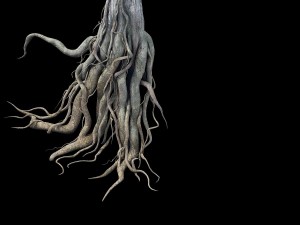 game model - kaya buddha forest root 3D 모델