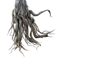game model - kaya buddha forest root Modelo 3D