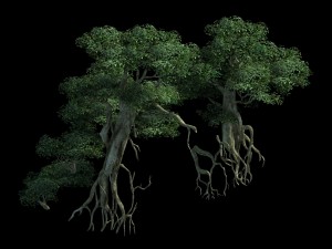 game model - kashayana buddha forest ruins tree 3Dモデル